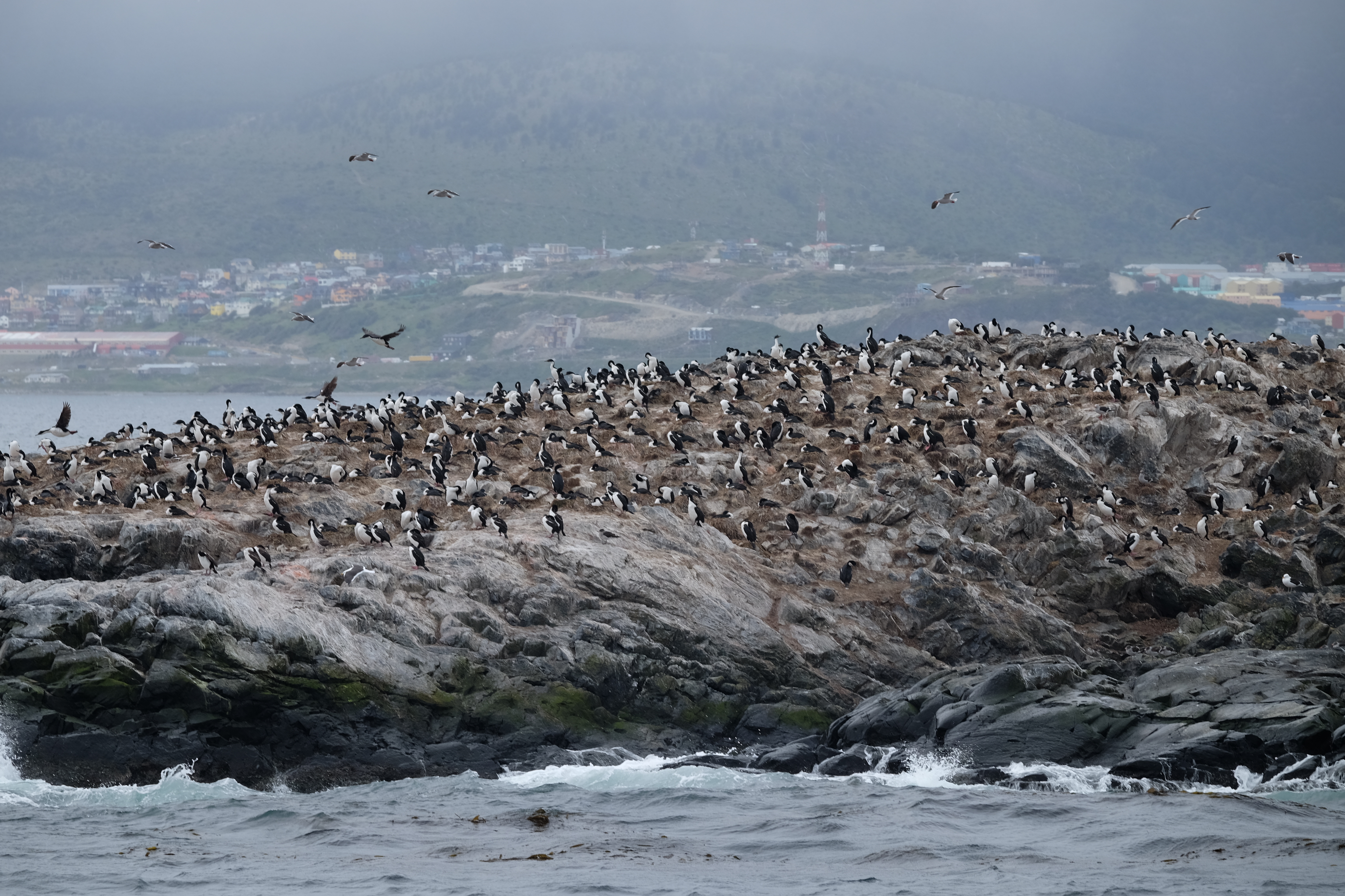 Ushuaia Argentina photo 6