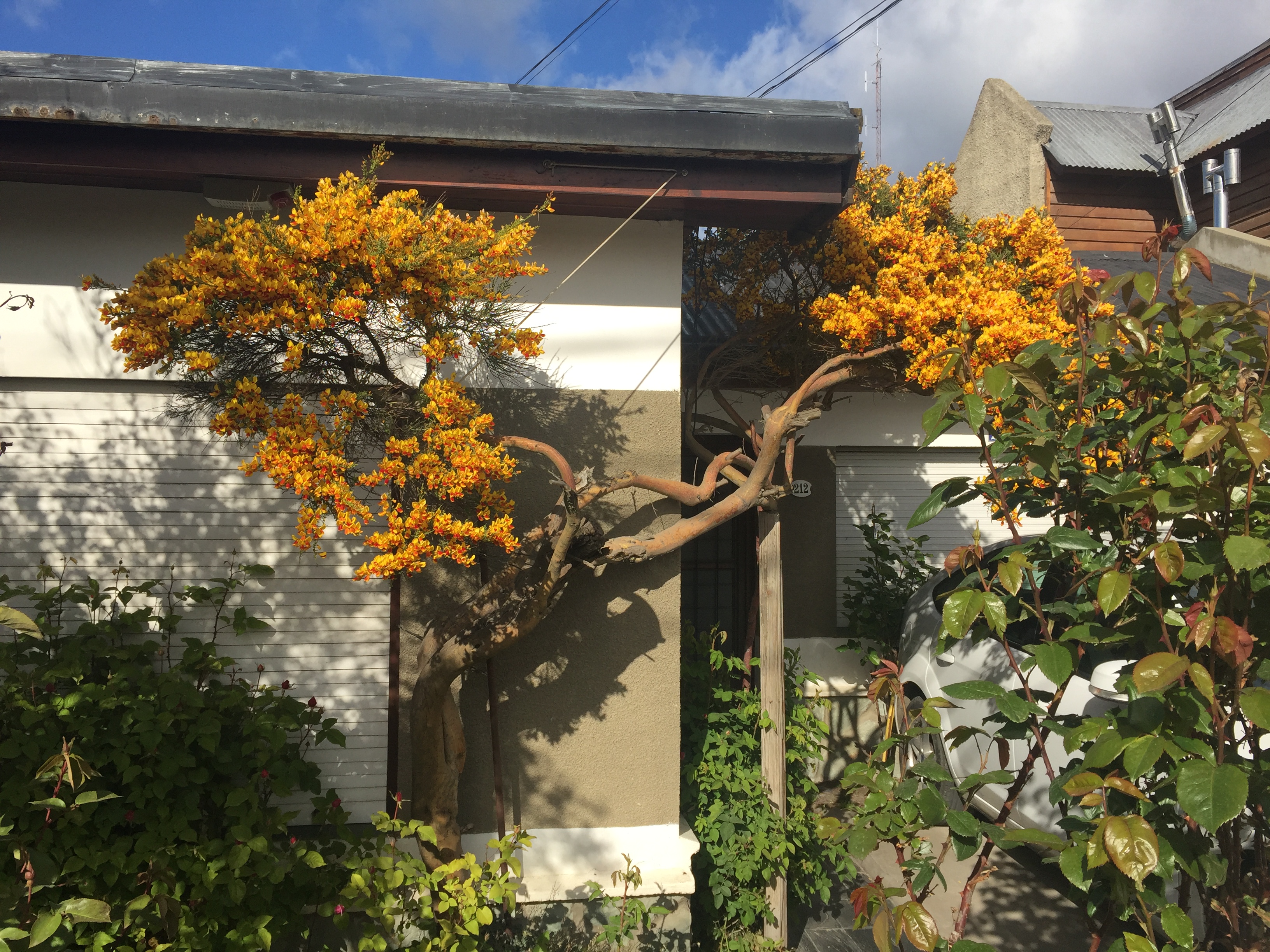 Ushuaia Argentina photo 8