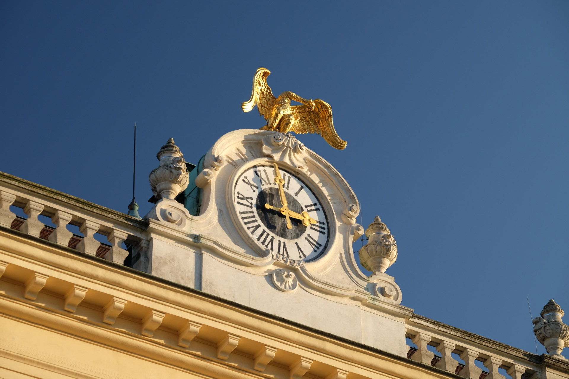 Vienna Austria photo 5