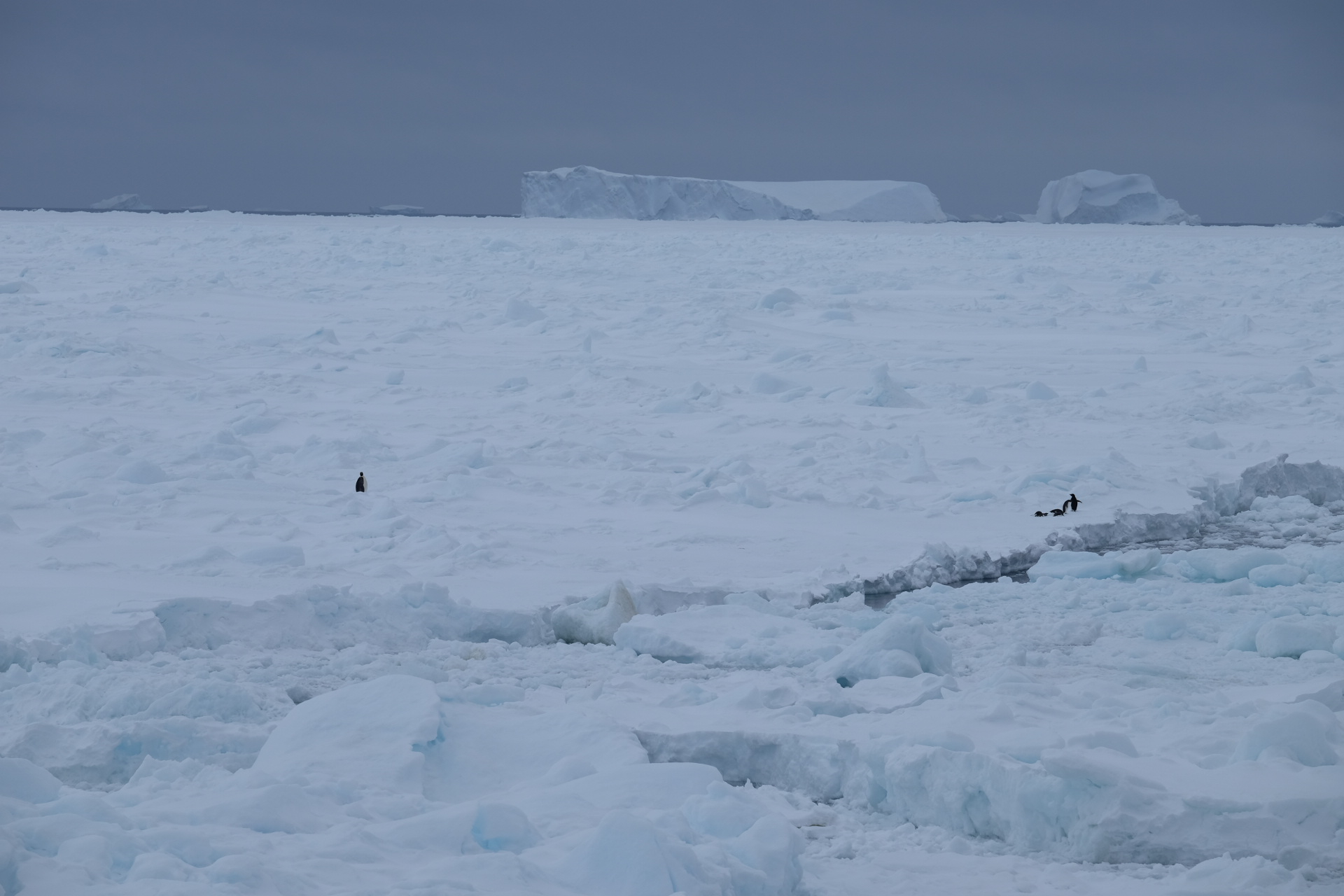 Weddell Sea Antarctica photo 4