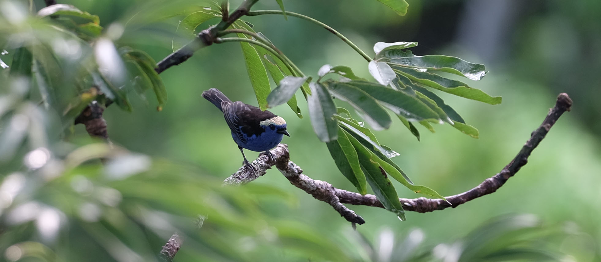 Yasuni National Forest Ecuador photo 3
