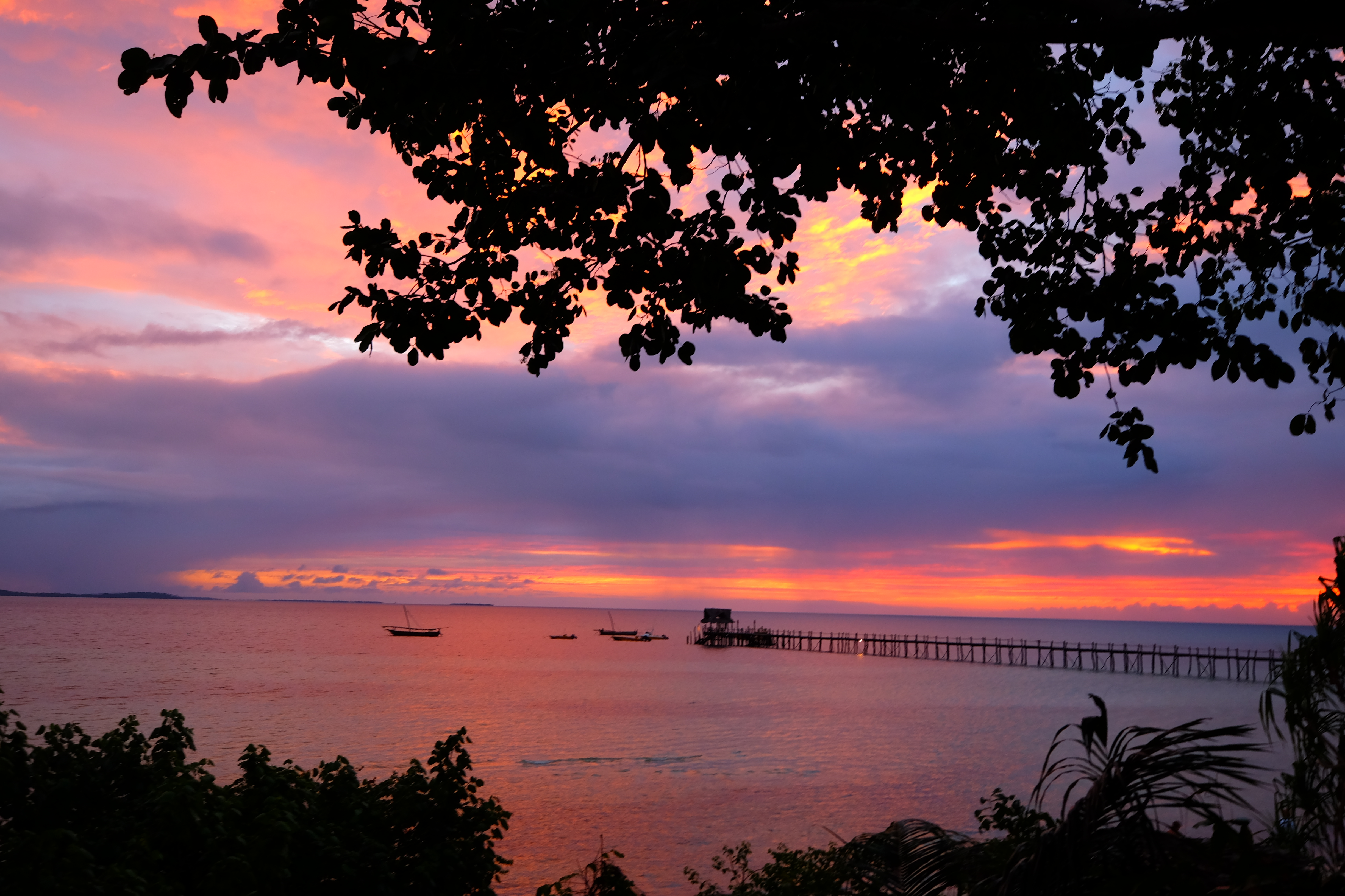 Zanzibar Tanzania photo 4