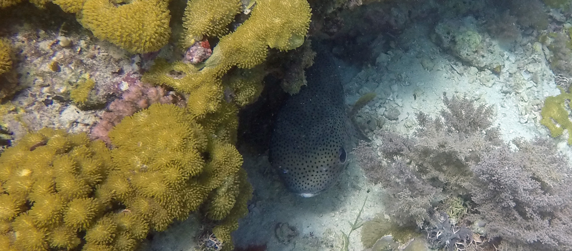 Zanzibar Tanzania photo 8