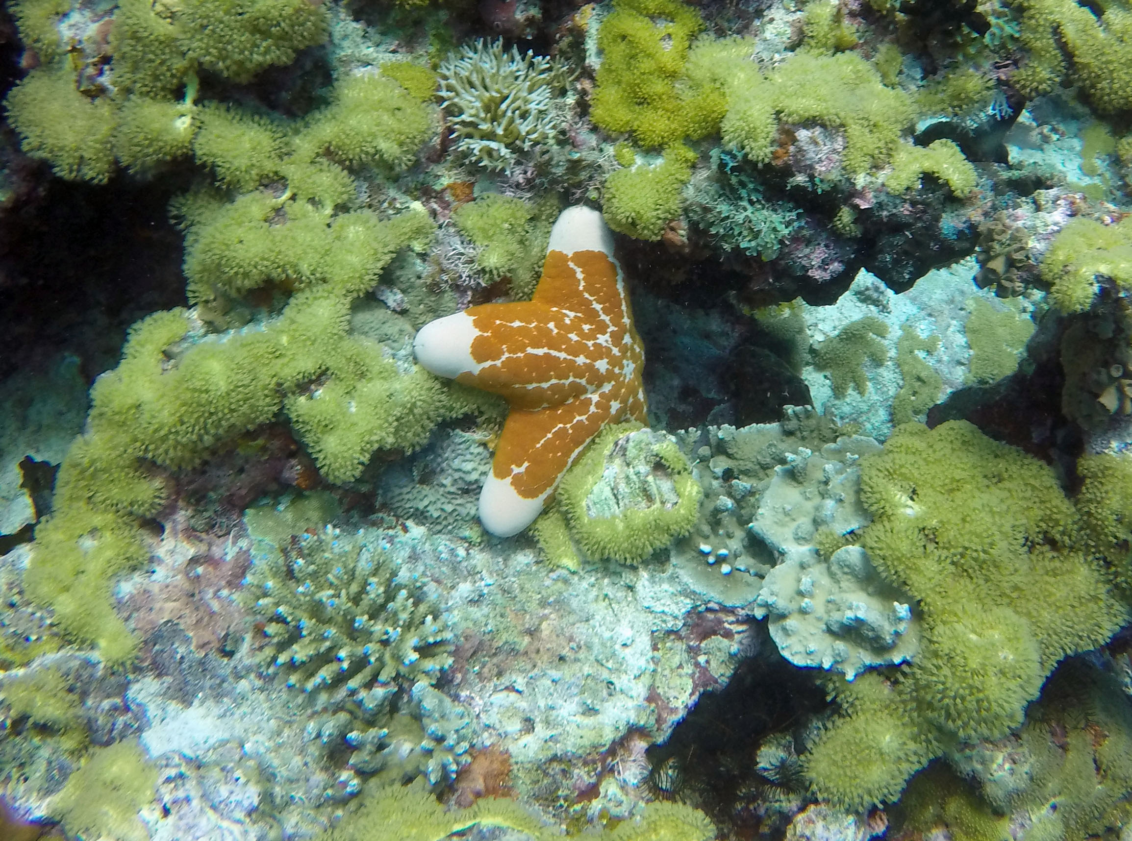 Zanzibar Tanzania photo 9