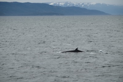 Drake Passage Antarctica