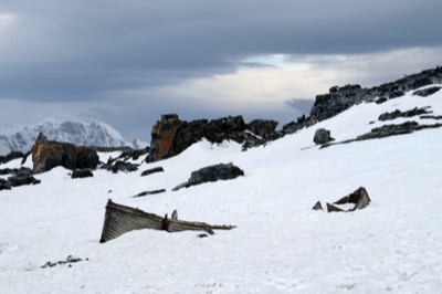 Half Moon Island Antarctica