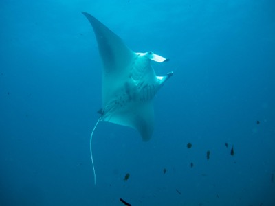 Laamu Atoll Maldives