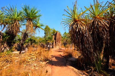 Litchfield Park Australia