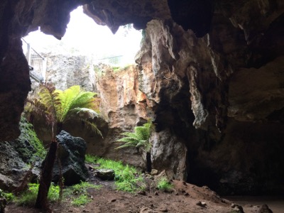Naracoorte Cave Australia