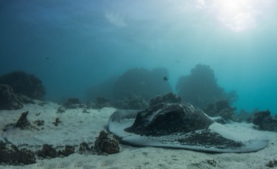 Ningaloo Reef Australia